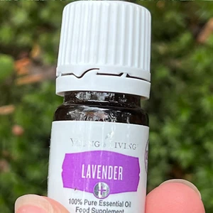 Young Living Lavender + Essential Oil FOOD SAFE - 5ml - Picture 1 of 4