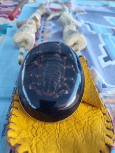 Native American Medicine Bag With Scorpion - Picture 1 of 9