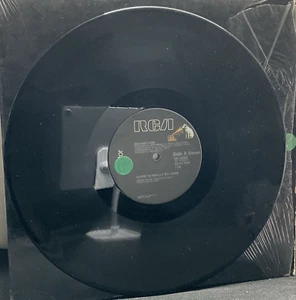 A51 BrainStorm: Lovin' Is Really My Game/ Stormin, 1977 RCA QD-10963 -12" Single - Picture 1 of 2