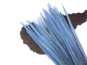50 piume 18-22" blu chiaro collo ad anello coda di fagiano fornitore ingrosso piume - Foto 1 di 9