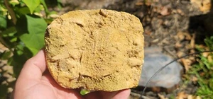 Fossiler Urlaub in Travertin Österreich Pleistozän - Bild 1 von 6