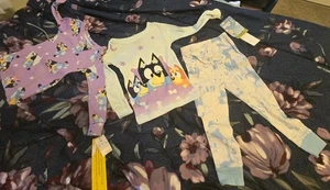 Bluey Toddler Pajama Set 3T + Slippers 4T–5T Bundle NWT – BBC Studios – Snug Fit - Picture 1 of 13