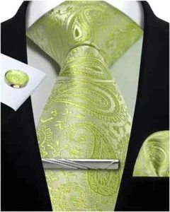EE. UU. Para Hombres Corbata de Seda Paisley Corbata Pañuelo Gemelos Bolsillo Cuadrado Corbata Conjunto - Imagen 1 de 59