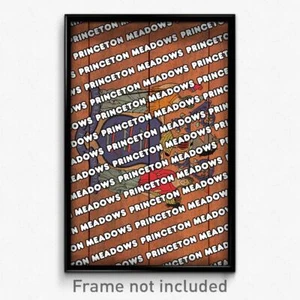 Póster de Princeton Meadows Nueva Jersey (impresión de recuerdo de la ciudad de Nueva Jersey 11x17) - Imagen 1 de 1