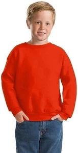 Hanes Boy's Big Cotton Crewneck Fleece Closure Sweatshirt - Picture 1 of 6
