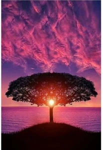 DIY 5D Paint with Diamonds "Beautiful Sunset" 11.8" x 15.7" Brand New - Picture 1 of 3