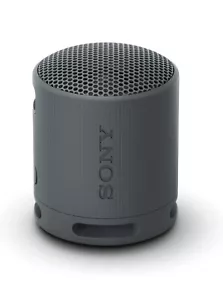 Sony SRS-XB100 Wireless Bluetooth Portable Travel Speaker BLACK SRSXB100 - Picture 1 of 2