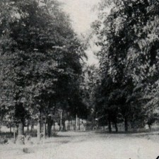 1907 Morgan Park Illinois Postcard Undivided Back Chicago Vintage 