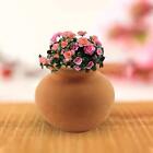 Miniature Tiny Clay Pots Without   for Garden Plants