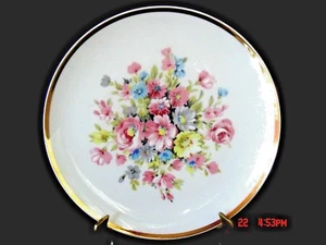 Vintage Schumann Arzberg Bavaria Germany Made 10-1/4” Wild Rose Porcelain Plate - Picture 1 of 4