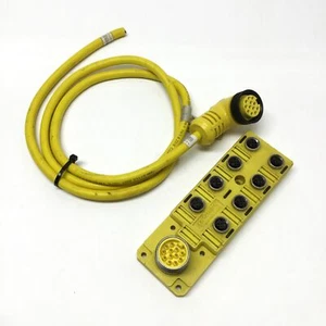 Brad Harrison BTY801N-FBB Junction Splitter Box 8-Port, M12 5-Pole, 4-Wire, NPN - Picture 1 of 4