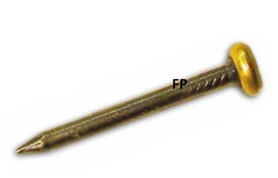 Pz40 Chiodo In Acciaio Per Quadro,Quadri Con Testa Ottonata MM 30 - Immagine 1 di 1