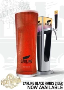 Volles Etui mit 24 x Carling Black Fruits Apfelwein Pint Gläsern 20oz Brandneu - Bild 1 von 2