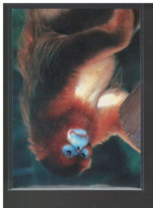 1993 World Famous San Diego Zoo Cards +Ins (A2719) - You Pick - 10+ FREE SHIP