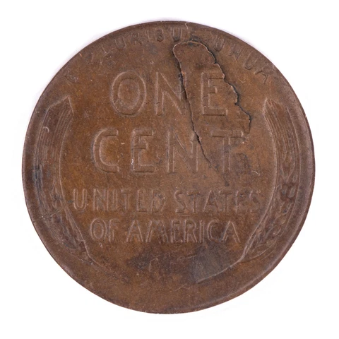 ERROR 1953 D Lincoln Cent ANACS EF40 Major Reverse Lamination 1c Wheat Cover