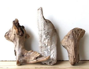Madera flotante Driftwood 3 maderas decoración terrario 17-27 cm - Imagen 1 de 13