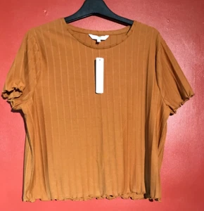 REDHERRING FITTED RIBBED SHORT SLEEVED TOP WITH STRETCH SIZE 20, RUST. BRAND NEW - Picture 1 of 8