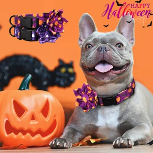 Halloween Pumpkin Dog Dog Collars with Cute Big Flower Adjustable for S/M/L Pets - Picture 1 of 20