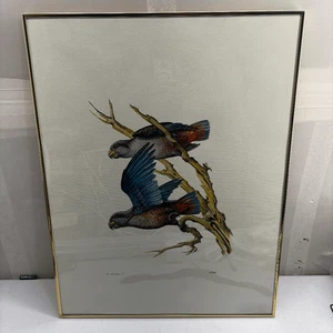 Impresión artística numerada firmada por Walter Arp loros de Venezuela pájaro 5 9 - Imagen 1 de 9