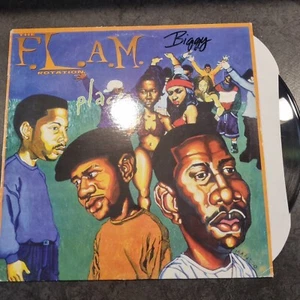 THE F.L.A.M. ROTATION Radio Edit Bay Area Mix VINYL 12 Original  - Bild 1 von 4