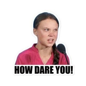 How dare you - refrigerator magnet - Picture 1 of 4