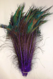 Natural & Dyed PEACOCK SWORDS 10"-35" Feathers; Craft/Costume/Hats/Halloween - Picture 1 of 11