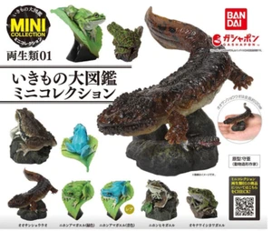 The Diversity of Life on Earth Mini Collection Amphibian Set of 5 Bandai Gasha - Picture 1 of 6