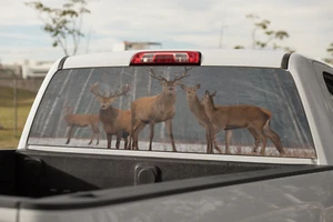 Truck Decal Back Window - Deer in the Forest - perforated vinyl TBW038 - Picture 1 of 2