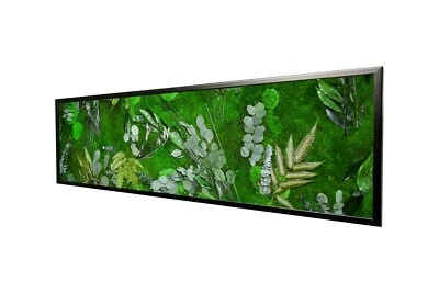 Wandbilder Dschungel Design Moosbild kaufen Wand Moos Bilder Oster Dekoration - Bild 1 von 4