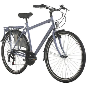 Hollandrad Herren 28" City Next 6 Gänge Blau RH 56 cm Hollandia 164C - Bild 1 von 9