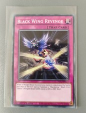 Yu-Gi-Oh - DLCS-EN033 -- Black Wing Revenge