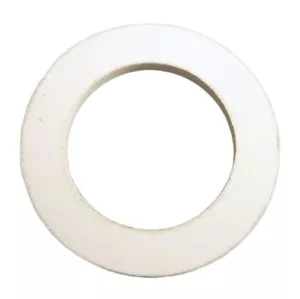6540-282 Sundance® Jacuzzi® Sweetwater Pillow Gasket (Lot of 20) - Bild 1 von 1