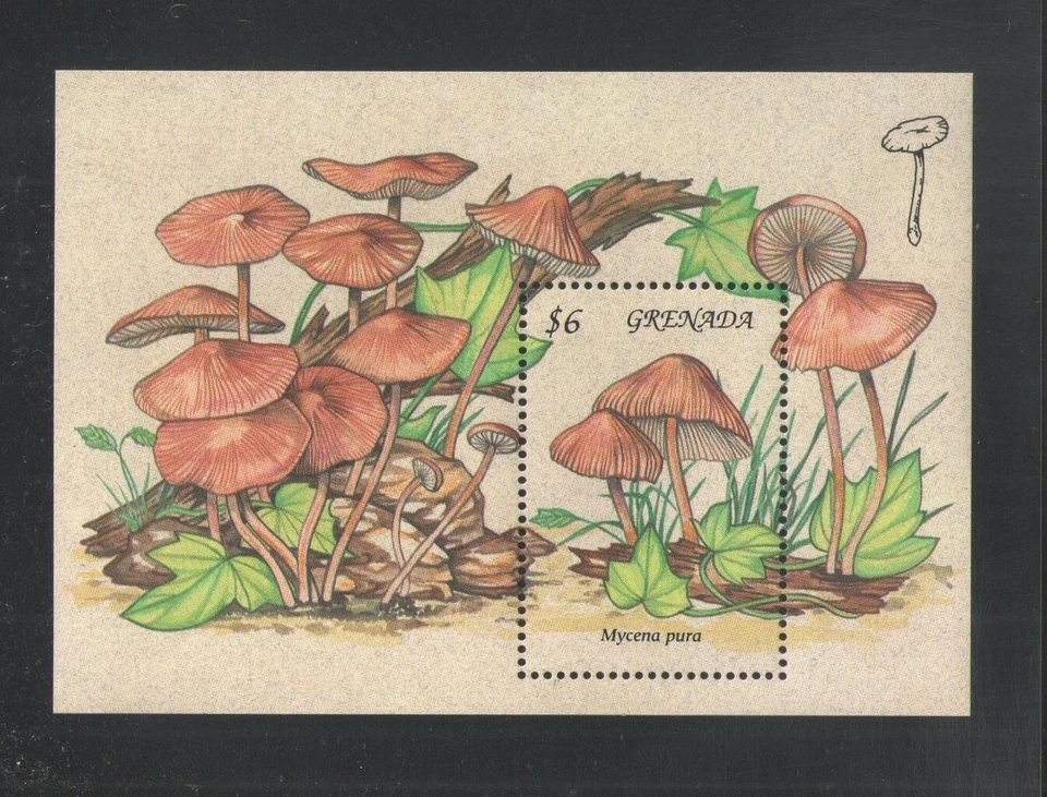 1994 GRENADA Scott # 2324 { MUSHROOMS } SOUVENIR SHEET MNH - Image 1 of 1