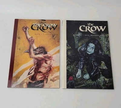 The Crow Book 1 & Book 2: Vengeance & Evil Beyond Reach Image Comic 1st Edition - Image 1 of 4