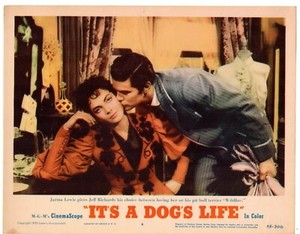 JARMA LEWIS JEFF RICHARDS IT'S A DOG'S LIFE 1955 ORIG 11X14 LOBBY CARD LC4093