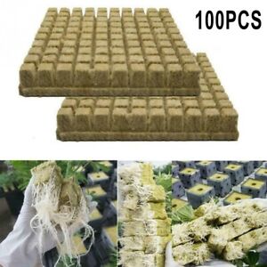 50/100PCS Propagation Grow Cubes Soilles Planting Sponge Hydroponic Garden