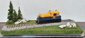 HO SCALE~ACRYLIC TRAIN DISPLAY CASE~ 13" SINGLE ANGLED TRACK~NATURAL LANDSCAPING - Picture 1 of 18