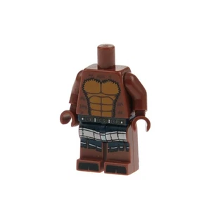 1X Lego Torso Legs Minifigures Series 6 Minotaur Col088 970C88Pb06 973Pb1026C01 - Picture 1 of 1