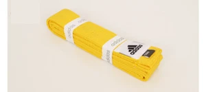 adidas Taekwondo 8 Colors Belt Name Embroidery Judo Jujitsu for Kids JW110320  - Picture 1 of 10