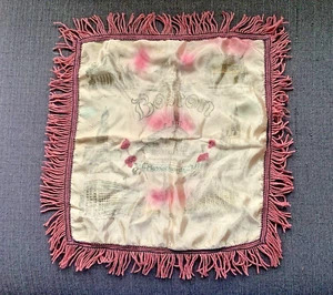 Funda de almohada satinada de colección Boston Massachusetts funda antideslizante rosa intenso flecos 15"x16,5" - Imagen 1 de 7