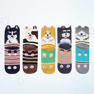 5 Pair Cartoon Puppy Tube Socks Female Spring Summer Socks Female Spring Socks