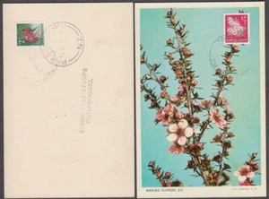NEW ZEALAND MAXI CARD 1960 PICTORIAL ½d. FLOWER MANUKA (ID:24/D28007) - Picture 1 of 1