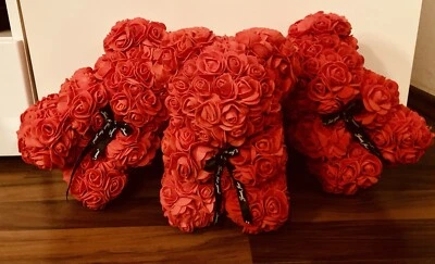 ROMEO&LOVE Rosenbär Rot Rosen Bär Teddybär Rose Muttertag Jahrestag Hochzeitstag Liebe