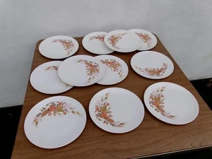 VINTAGE BOONTONWARE MELMAC ( LOT OF 11 ) ORANGE HARVEST BROWN DINNER PLATES 3103 - Picture 1 of 7