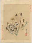 UW»Estampe japonaise originale 1890 - composition et papillon D947 F15