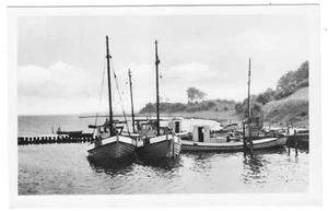 AK, Insel Poel, Fischkutter im Hafen, 1954 - Bild 1 von 1