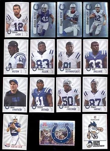 Juego de pegatinas 2013 Indianapolis Colts Andrew Lucky Reggie Wayne T y Hilton Bethea - Imagen 1 de 1