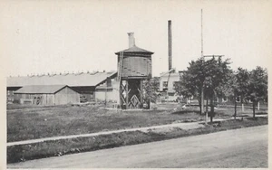 Frog Shop - Tomah, Wisconsin - unposted litho - Bild 1 von 3