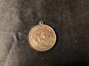 MEDAL: 1924 AGRICULTURAL SOCIETY SOUVENIR MEDAL SOUVENIR OF SHOW - Picture 1 of 5