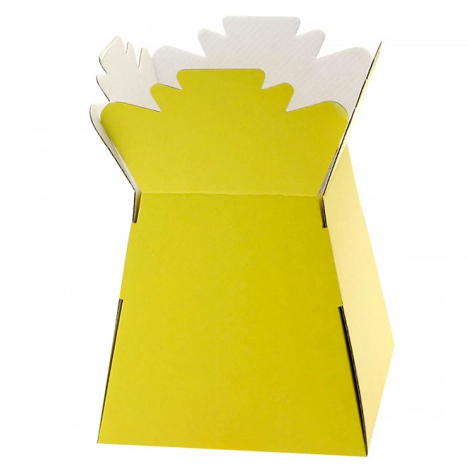 Yellow - Florist Bouquet Box Flower Plant Aqua Sweet Gift Boxes - Image 1 of 1
